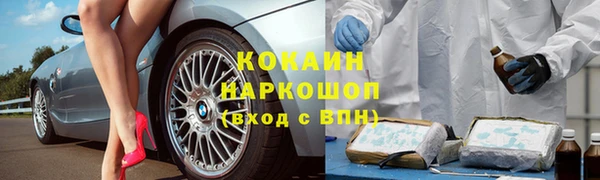 шишки Армянск