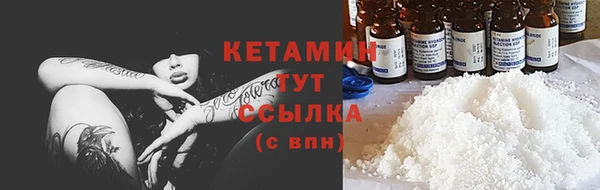 шишки Армянск